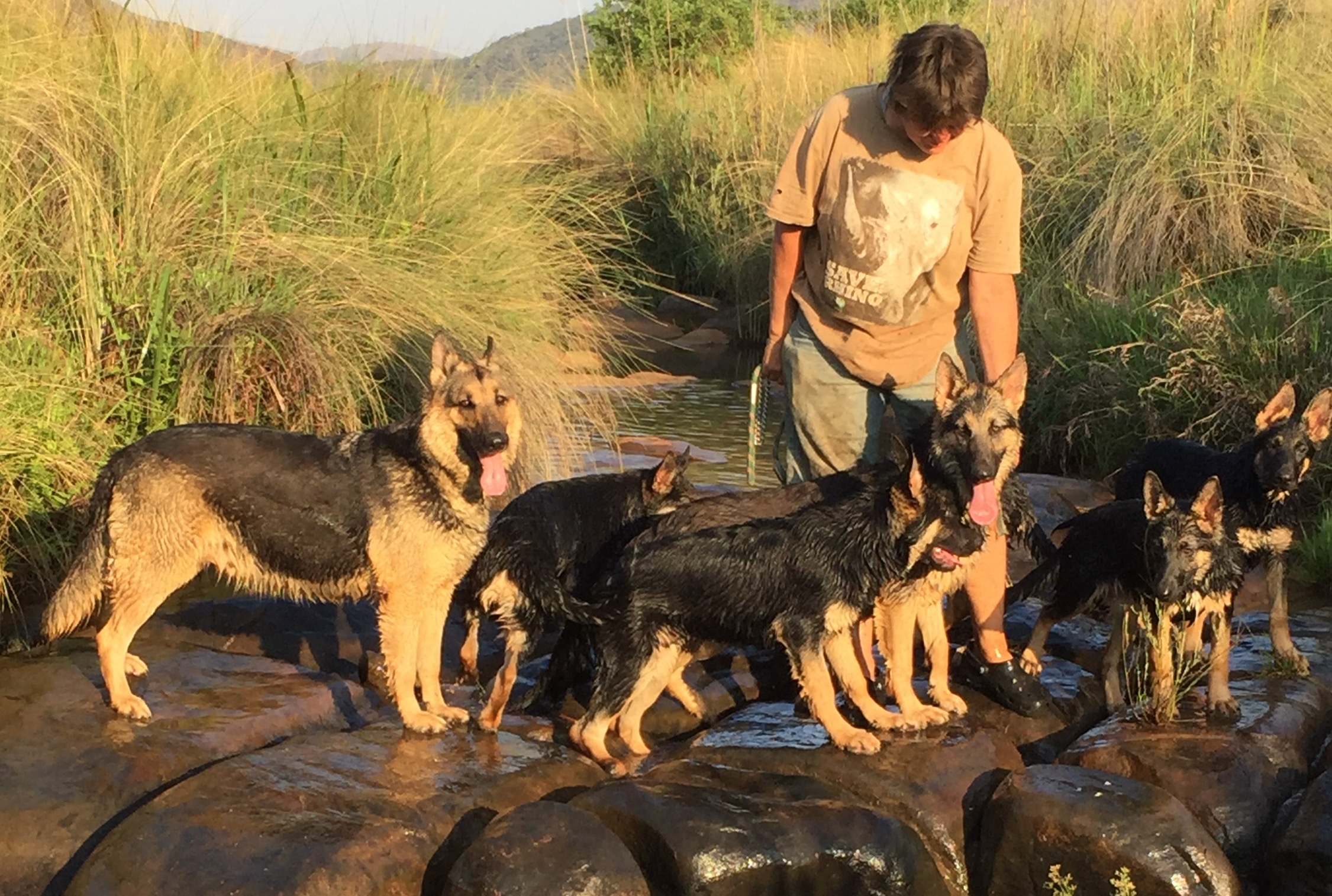 Photo of Julie standing in the river with one of our Olderhill bitches and her puppies