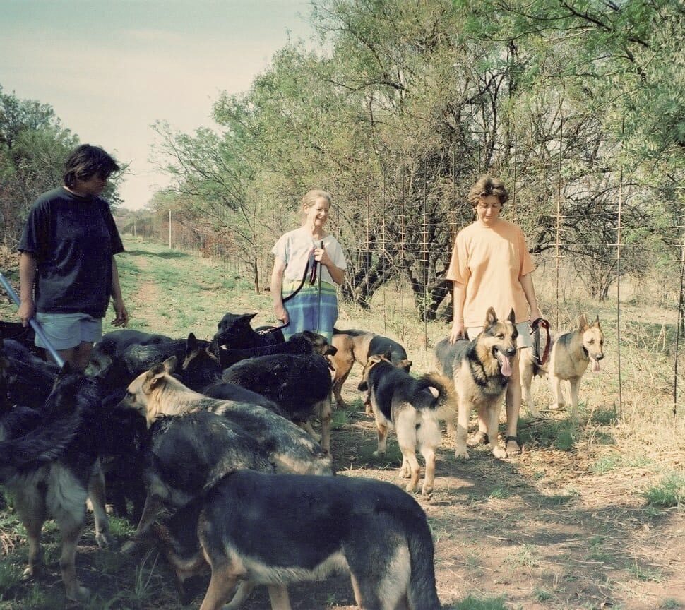 Photo of the breeders with some of their Olderhill GSDs in the African bush